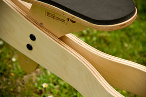 Wishbone Bike 2in1