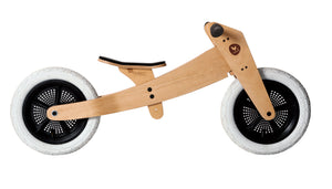 Wishbone Bike 2in1