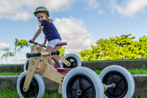 Wishbone Bike 3in1